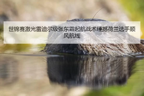 shi-jin-sai-ji-guang-lei-di-er-ji-zhang-dong-shuang-qi-hang-zhan-shu-ying-han-he-lan-xuan-shou-shun-feng-hang-xian-2-575.jpg